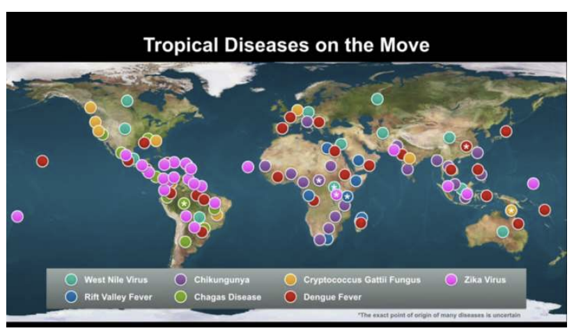 <p>climate change (global warming)</p>