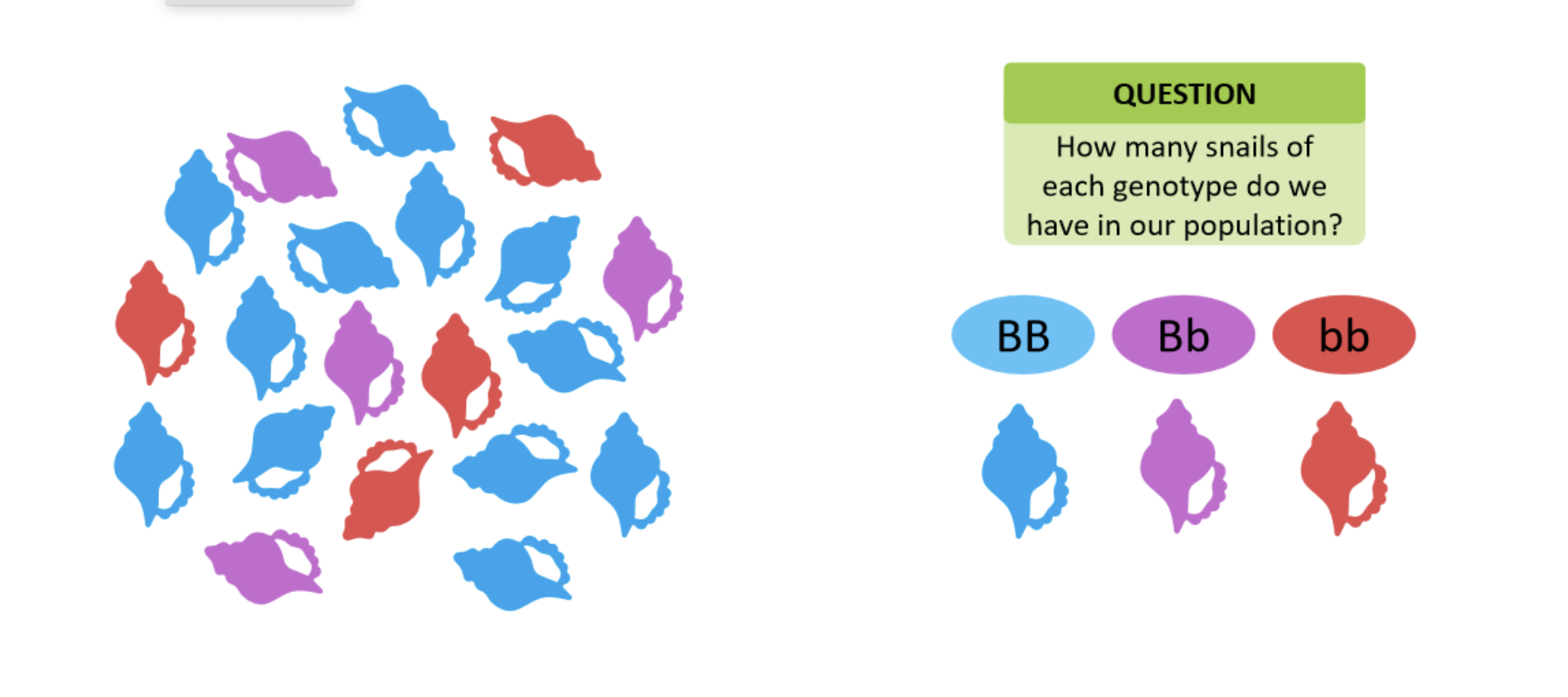 <p>Question</p>