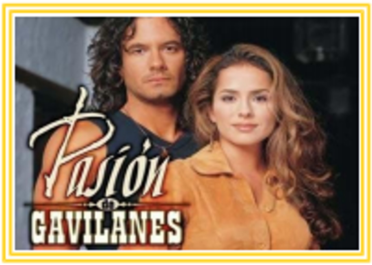 <p>soap opera</p>