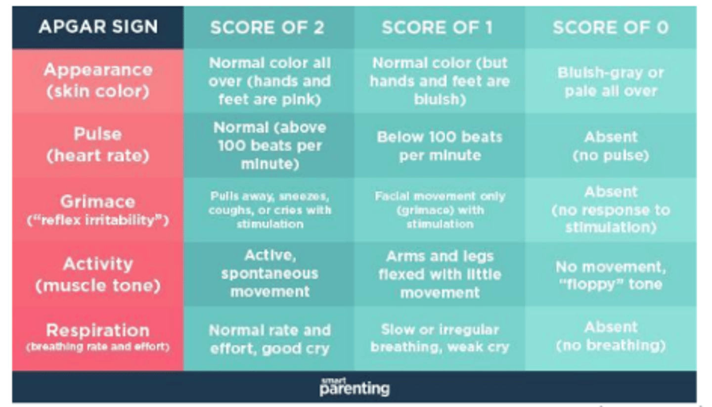 knowt flashcard image