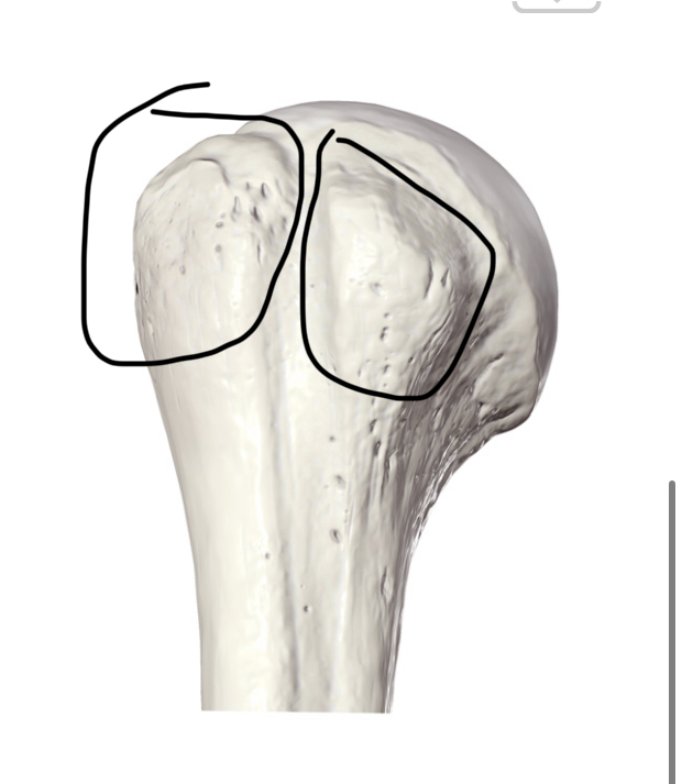 <p>Hoe heten deze delen?</p>