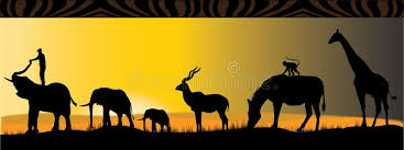 <p>animal</p>