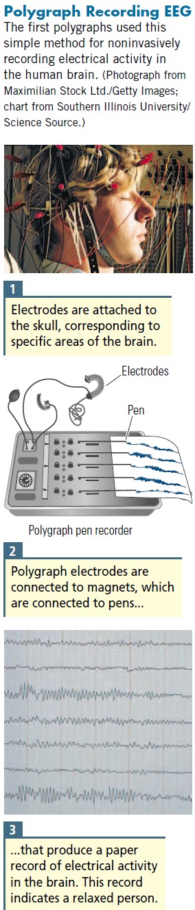 * one electrode (active electrode) is attached or pasted on skull to detect elec activity underlying area.
* second electrode (indifferent electrode) attached elsewhere, where no changing elec activity exists (e.g., earlobe)
* The two electrodes detect the difference
  in electrical potentials near the scalp electrode, thus revealing the underlying
  brain activity.