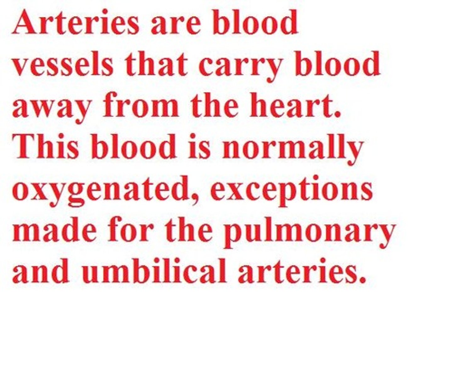 <p>artery</p>