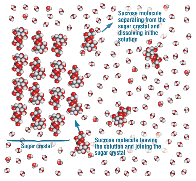 <p>Depends on the polarity of the molecular solid and polarity of solvent:</p><p></p><p>for a substance to dissolve, the solute to solvent attractions must be stronger than the forces of attraction within the solvent and within the solute. </p>