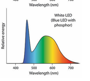 <p>White LED (Blue with phosphor)</p>