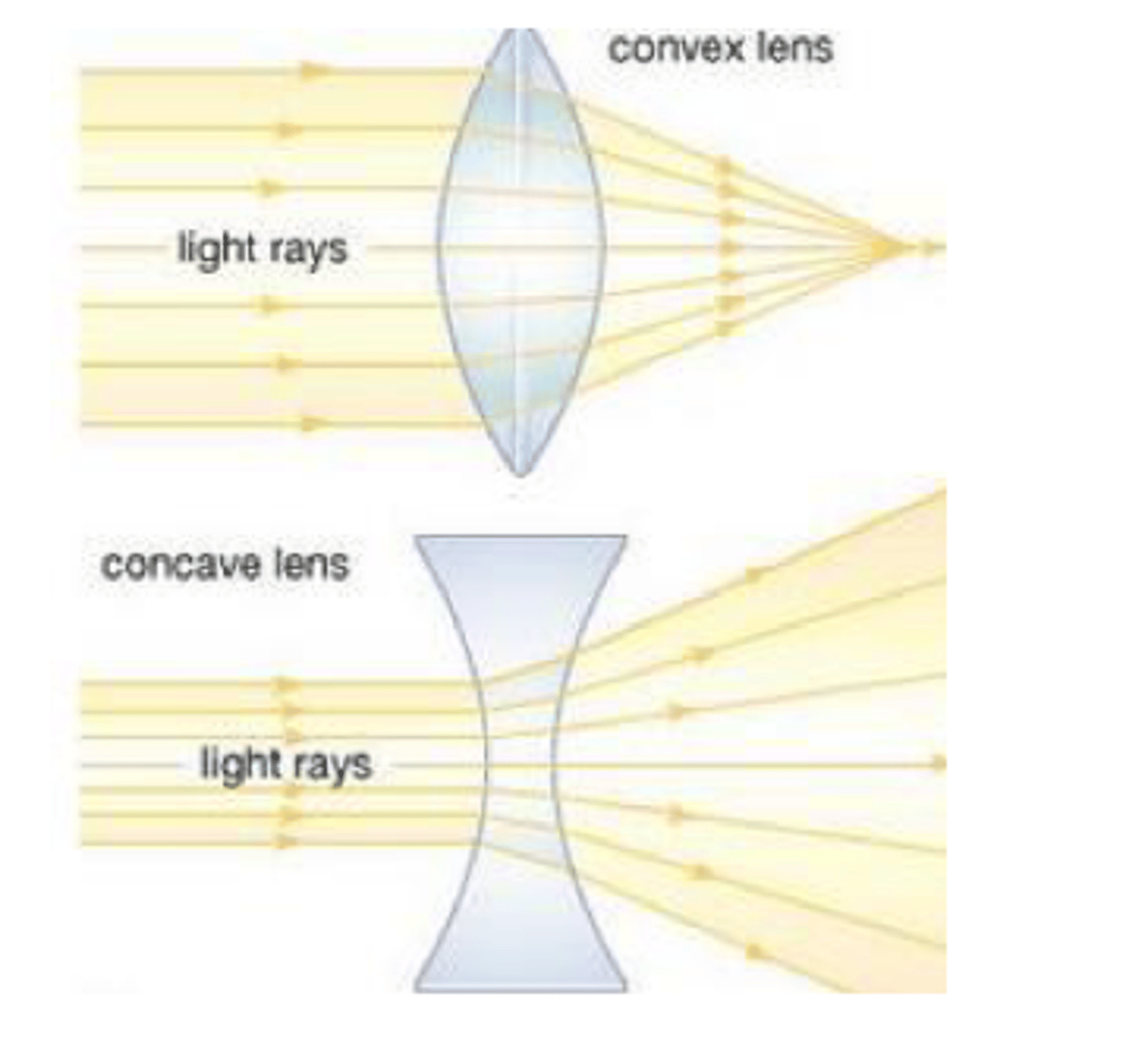 <p>A lens that is thinner in the middle than it is at the edges. and causes light rays to diverge</p>