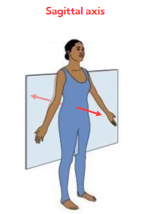 <p>Divides the body into anterior (front) and posterior (back) parts</p><p>rotates about the sagittal axis</p>
