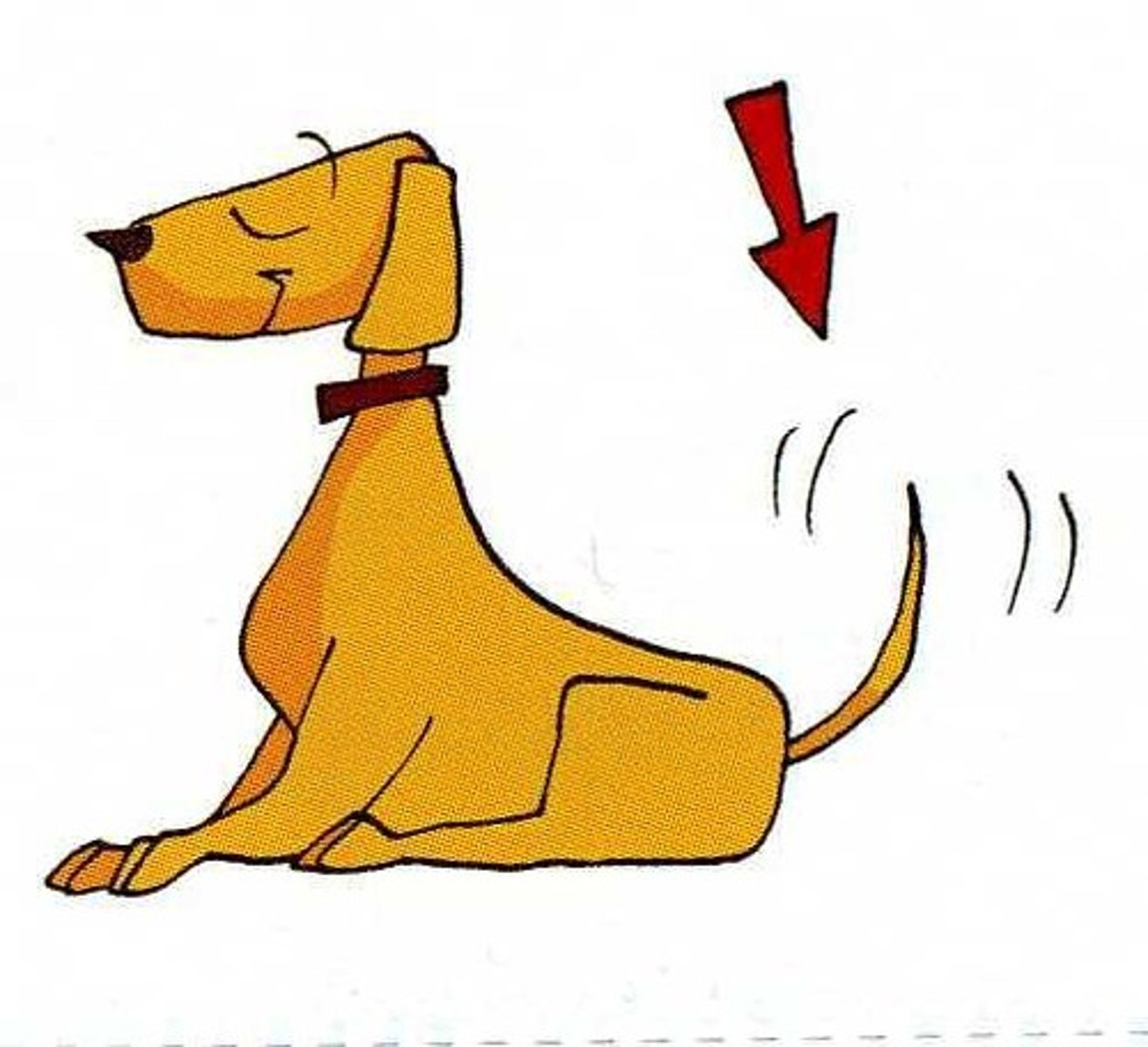 <p>[CHẤN]</p><p>(を-ふる ) rung, vẫy, lắc, từ chối</p>