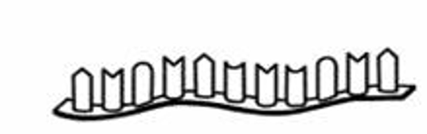 <p>the transcript copy of the DNA instructions (it encodes the protein sequence)</p>