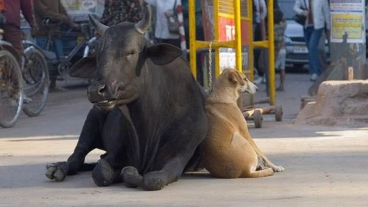 <p>dựa vào = depend on </p>