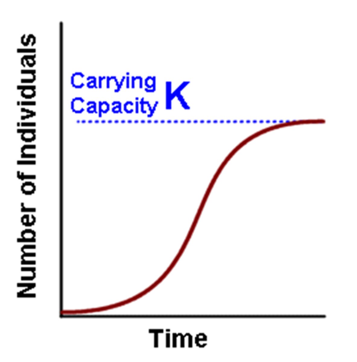 <p>Growth typically experienced by populations. Five stages: 1) slow initial growth; 2) rapid exponential growth; 3) population growth begins to slow; 4) population slows even more still; 5) Population reaches steady state in which growth rate is zero.</p>