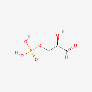 <p>A molecule produced as a result of the Calvin cycle. This molecule later joins up with 2 of the same molecules in order to form glucose near the ending of the process of photosynthesis.</p><p>It is, specifically, a 3 carbon sugar created using 3-PGA molecules in the reduction stage of the Calvin cycle (i.e. the second stage). This molecule is also recycled in order to regenerate RuBP acceptor molecules during the regeneration stage (i.e. last stage) of the Calvin cycle.</p>