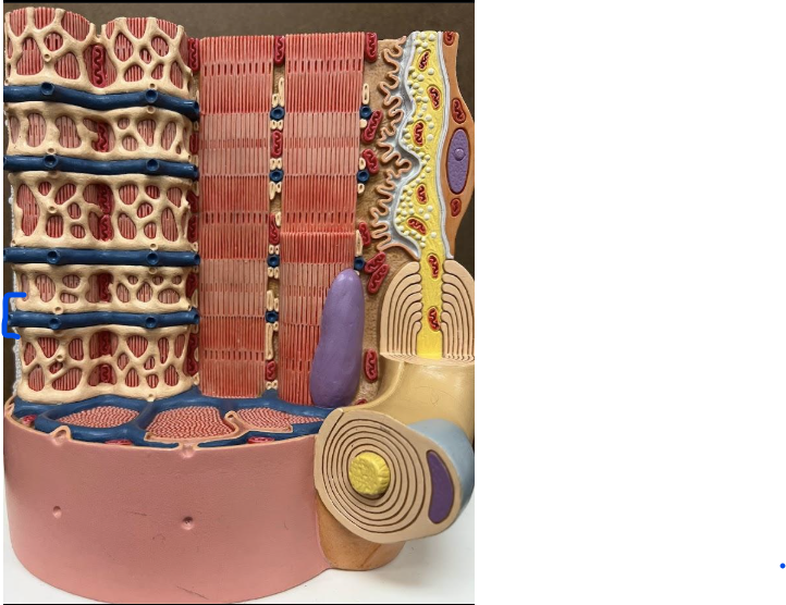 <p>What is this?</p>