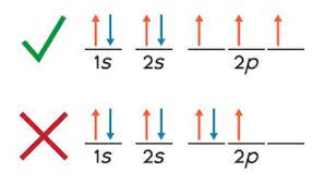 electrons occupy different orbitals in a sublevel with the same spin, rather than pair, until each orbitaal has at least one electron; at the same energy sublevel, electron’s like to spread out and have the same spin, its the lowest energy state, pairing is higher energy (unpaired electrons pointing the same direction).