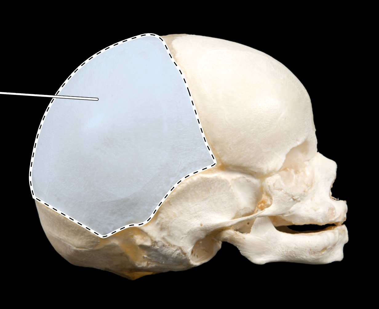 <p>?</p>