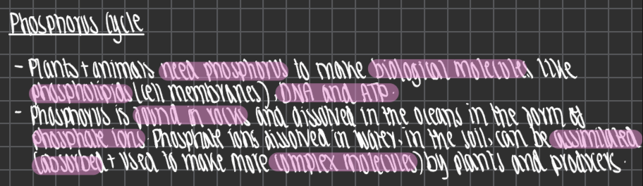 knowt flashcard image