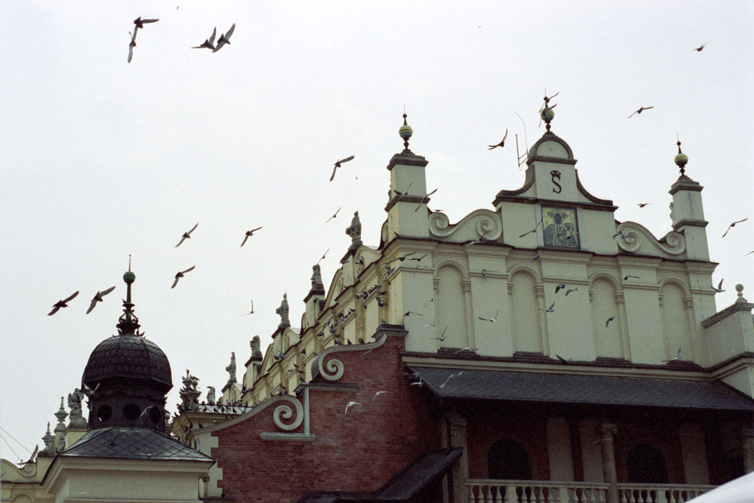 term image