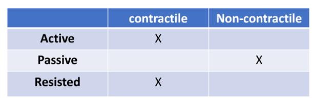 <p>Range of Motion (ROM) and Functional Testing</p>
