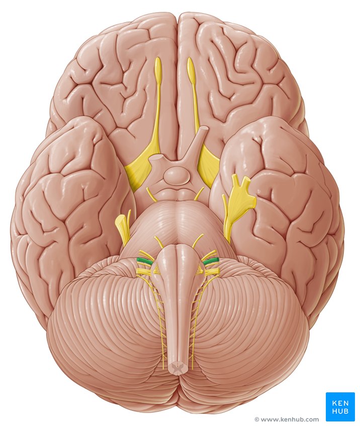 <p>what is this structure?</p>