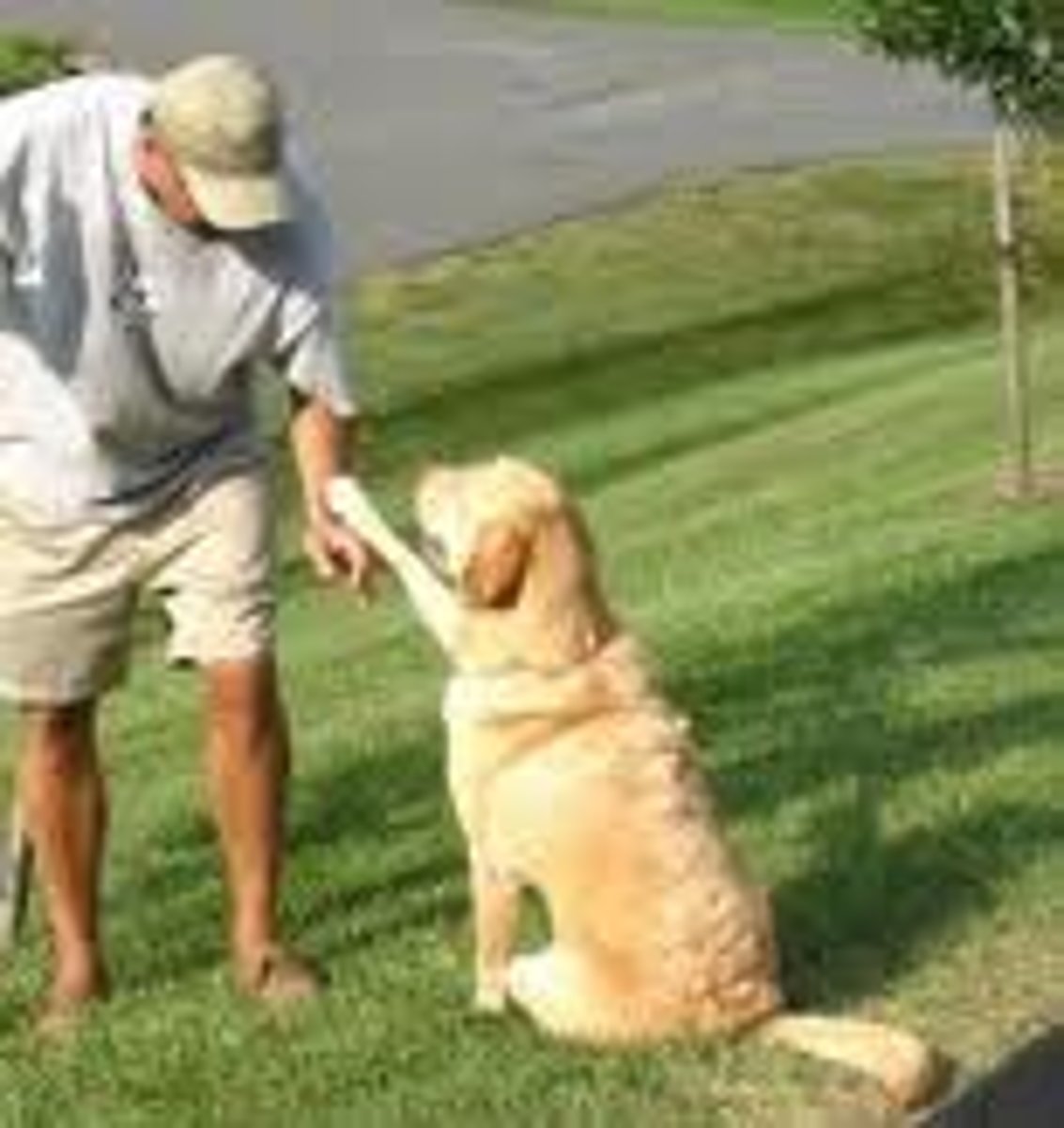 <p>the tendency to do what powerful people tell us to do</p>