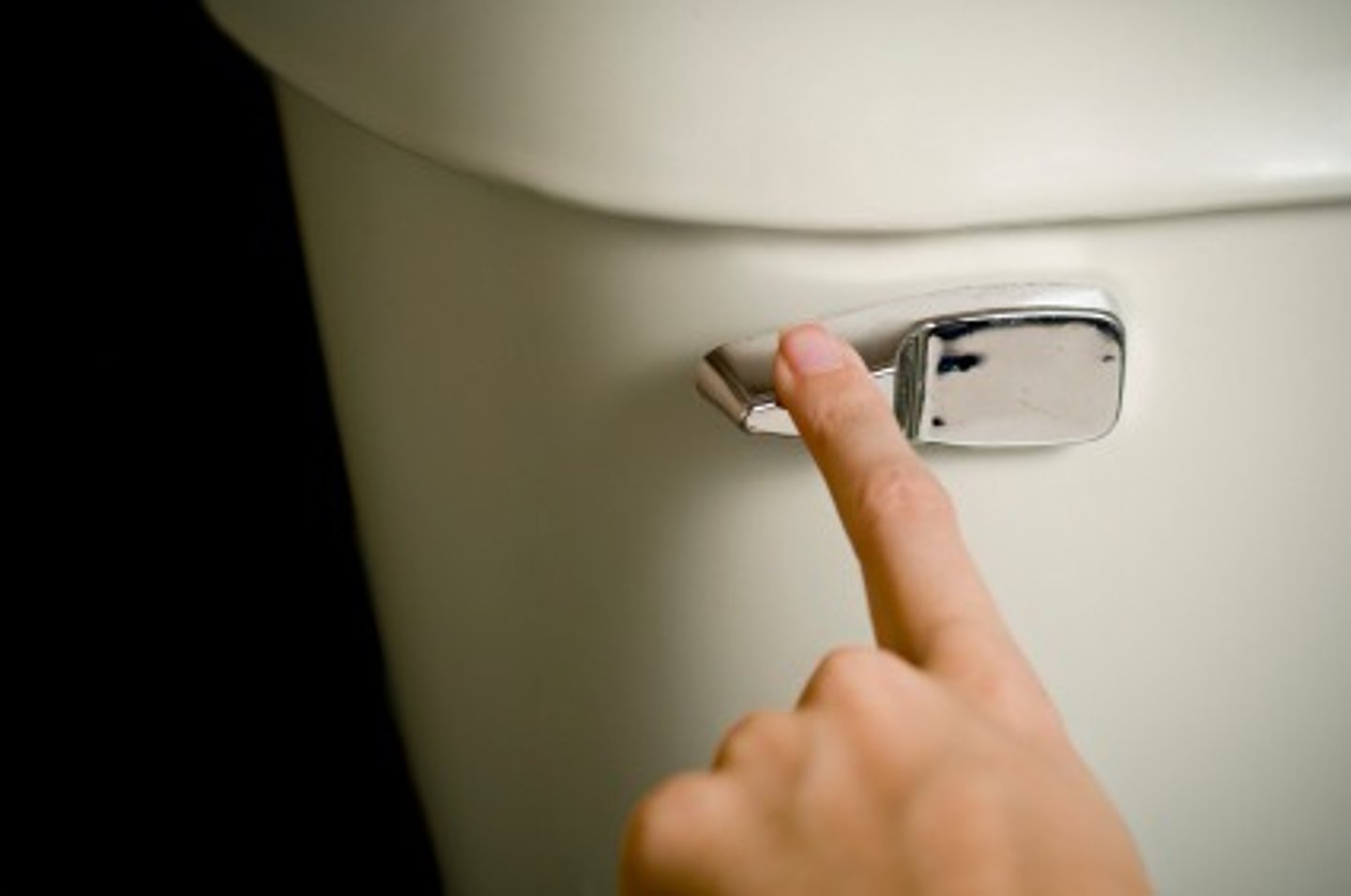 <p>toilet flush</p>