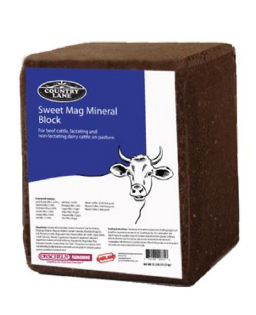 <p>what occurs when Mg is low (especially low in spring grasses)</p>