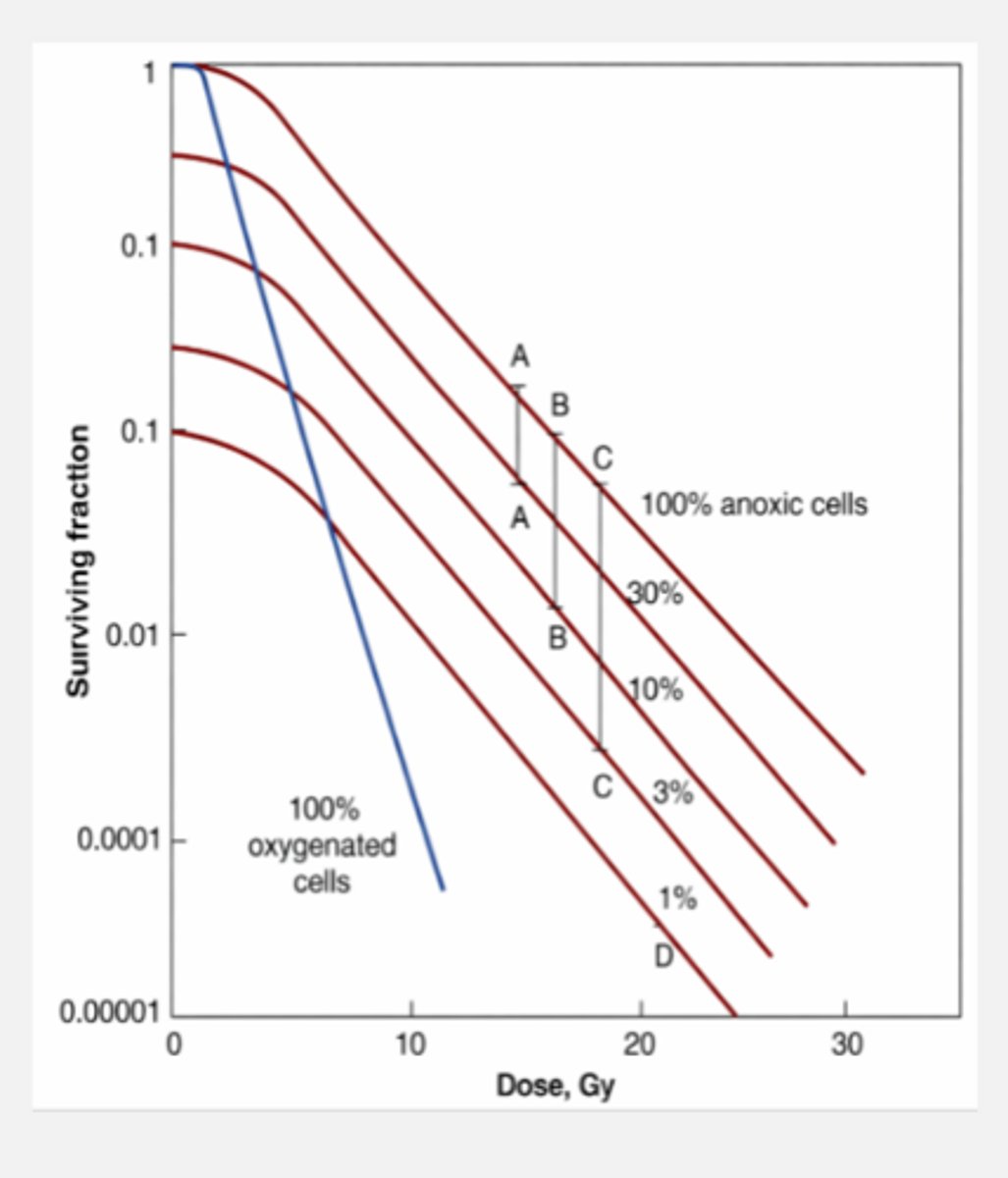 <p>hypoxic cells remaining in tumor</p>