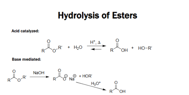 <ul><li><p>Ester + H₂O ⇌ Carboxylic acid + Alcohol.</p></li><li><p>Requires acid catalyst and heat.</p></li><li><p>Reversible reaction.</p></li><li><p>Proceeds through protonation and water attack.</p></li></ul><p></p>
