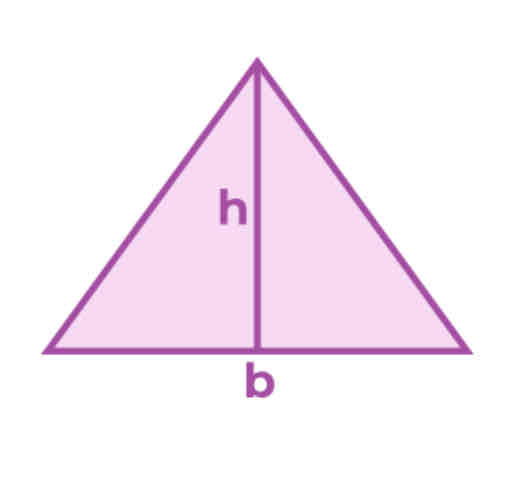 <p>area of triangle </p>
