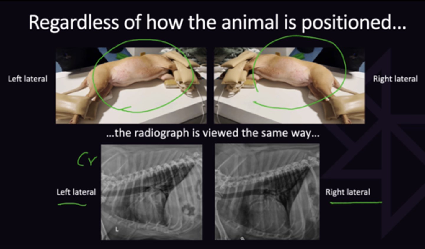 <p>1. For both Images, Cranial Aspect of patient on Left of Monitor, Caudal Aspect of patient on Right of Monitor </p>