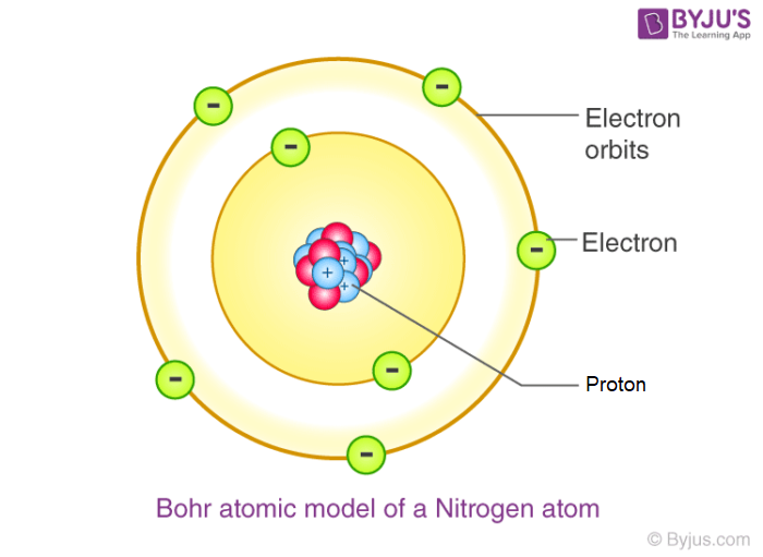<p>electrons orbit the nucleus in distinct energy levels</p>