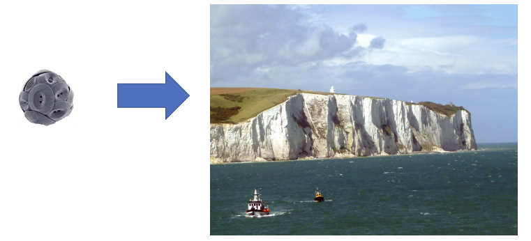 <p><strong>white cliffs of dover</strong></p>