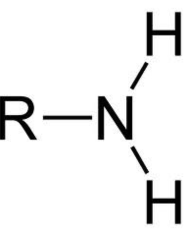 <p>NH2 (IUPAC prefix)</p>