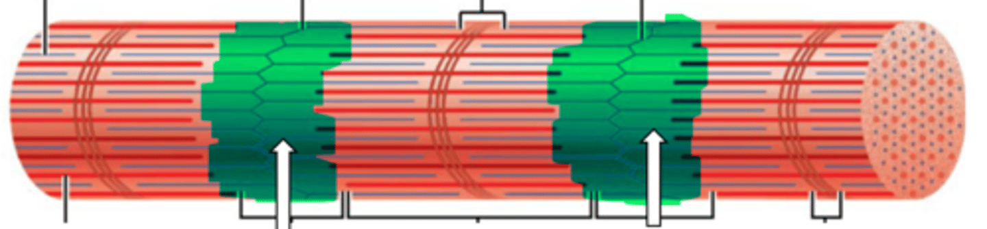<p>name the structure</p>