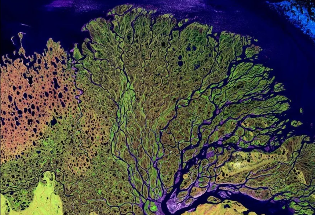 <p>What is the dominant transport mechanism for sediment here?</p>