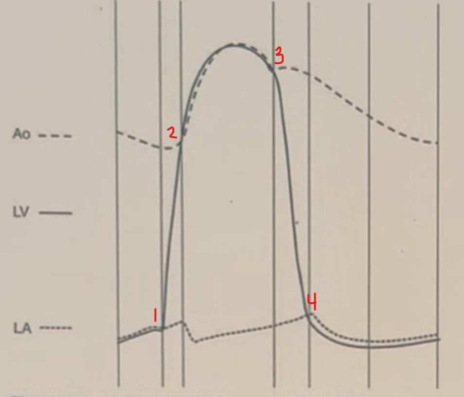 <p>Identify this image. </p>