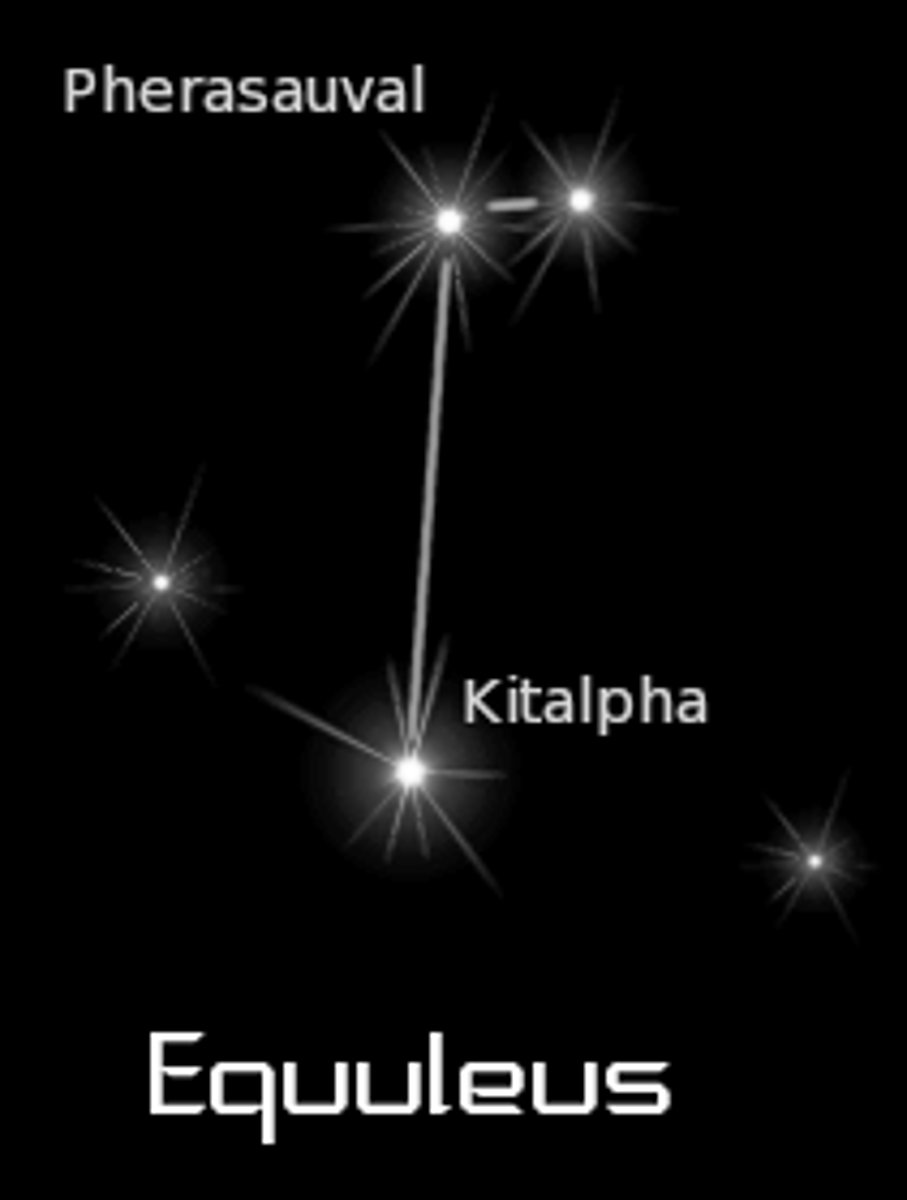 <p>little horse / brightest star: Kitalpha or Alpha Equulei (α Equ)</p>