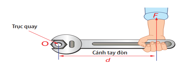 <p><strong>Câu 24: Xét trường hợp lực tác dụng vuông góc với thân cờ lê, d được gọi là cánh tay đòn. Moment lực càng lớn nếu:</strong></p><p>A. Lực tác dụng F càng lớn, cánh tay đòn d càng dài. </p><p> B. Lực tác dụng F không đổi, cánh tay đòn d càng dài.</p><p> C. Lực tác dụng F càng nhỏ, cánh tay đòn d càng dài. </p><p> D. Lực tác dụng F càng lớn, cánh tay đòn d không đổi. </p>