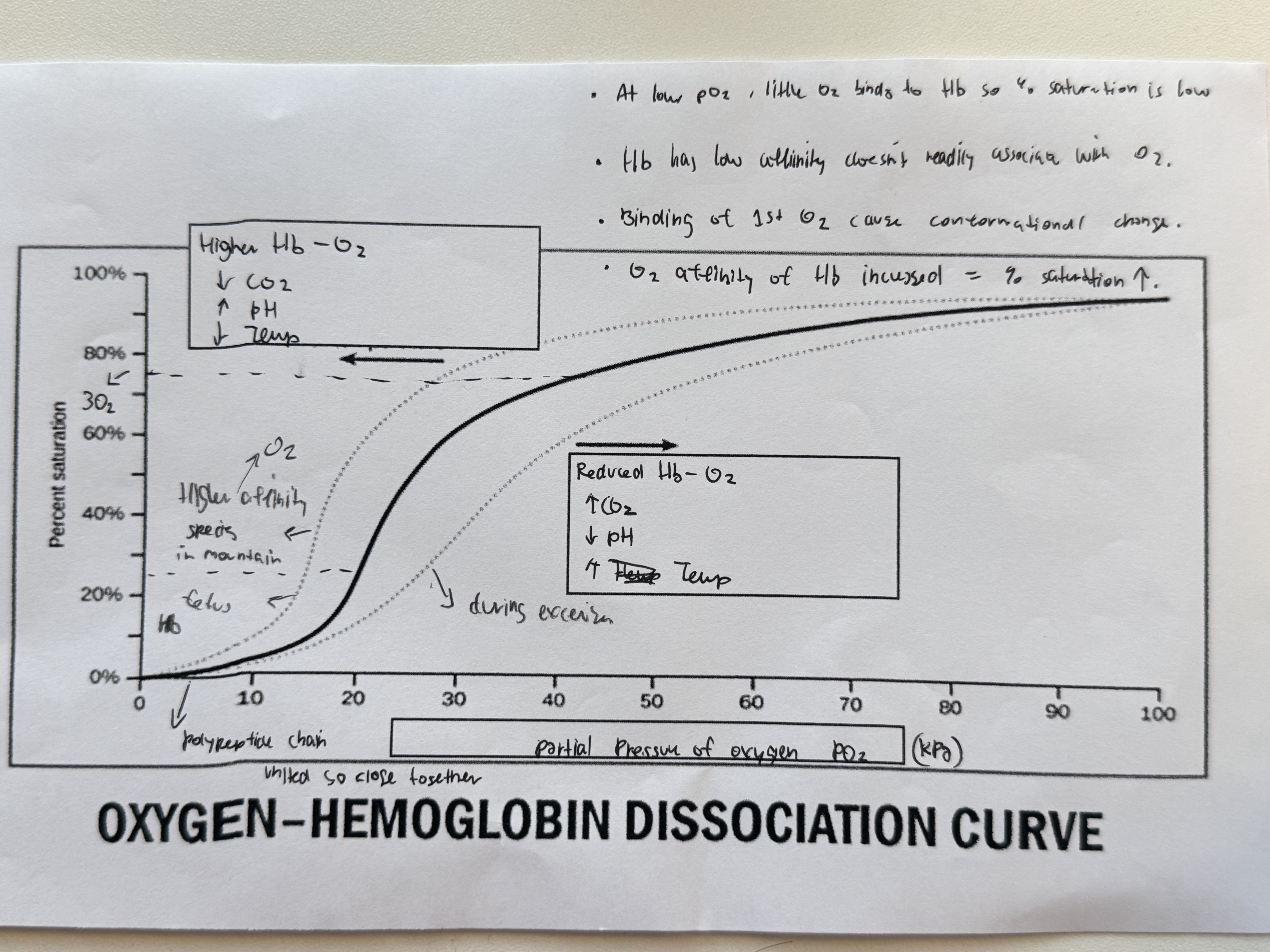 <p>What does the start of the graphs show ?</p>