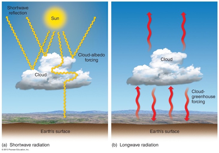 <p>•HIGHER ALBEDO THAN EARTH’S SURFACE (MOSTLY)</p><p>•THEY TRAP HEAT (COMPOSED OF GREENHOUSE GASES)</p>