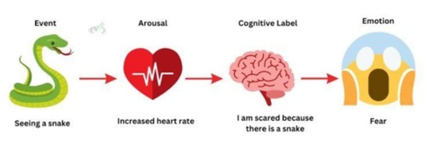<p>Appraisal involves evaluations and interpretations of emotion-relevant aspects of stimuli.</p>