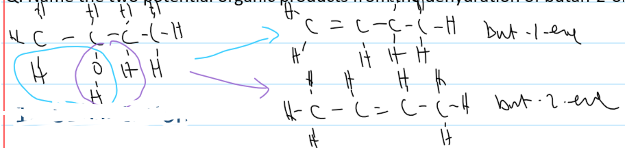 <p>2 depending on which H next to the OH group is taken</p><ul><li><p>but-1-ene</p></li><li><p>but-2-ene</p></li></ul>