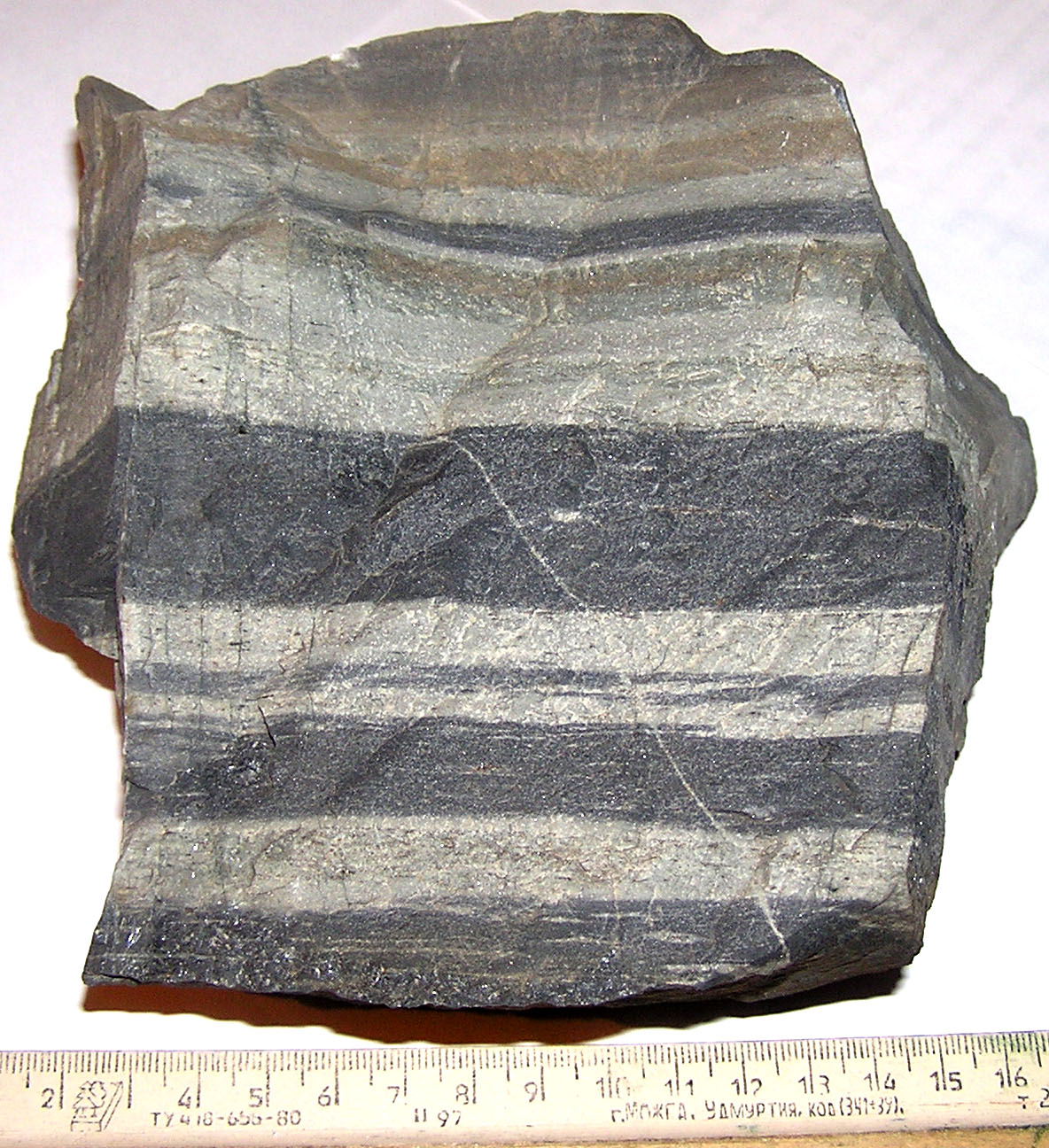 <p>Identify the metamorphic rock</p>