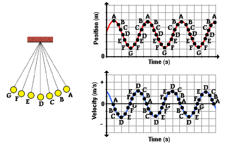 <p>This position vs. time graph shows the position of a pendulum over a period of time.</p>