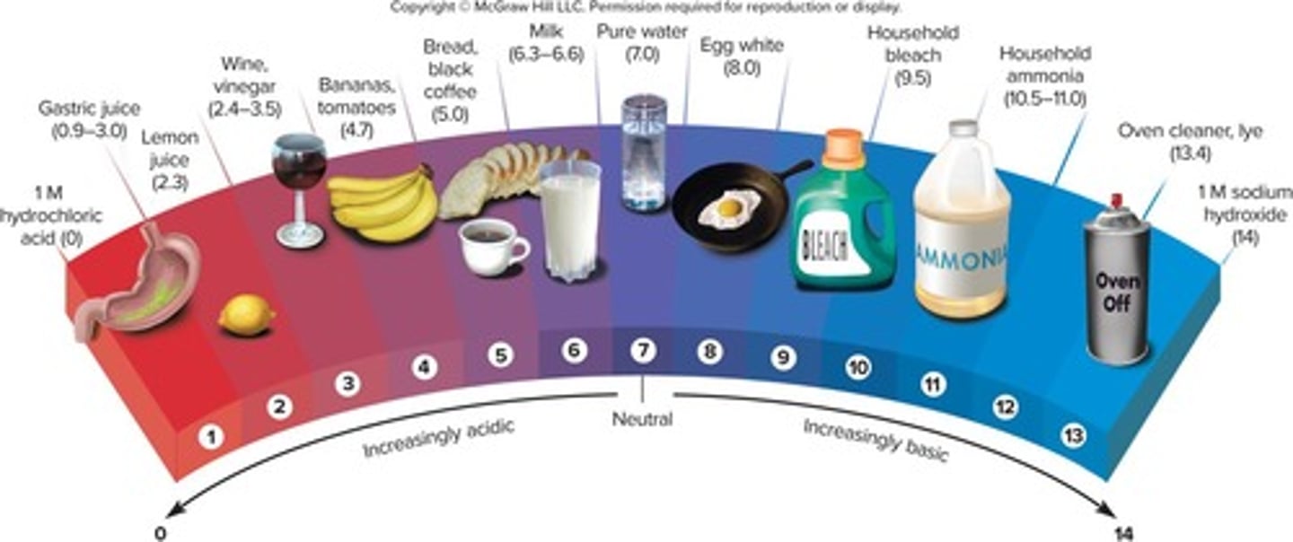 <p>Measures acidity based on the amount of hydrogen ions present.</p>