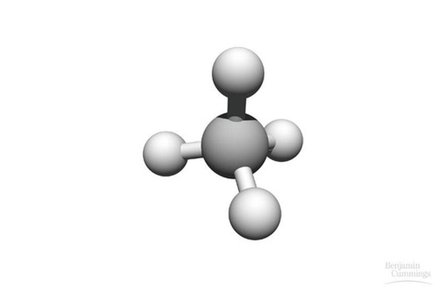 <p>The study of carbon compounds.</p>