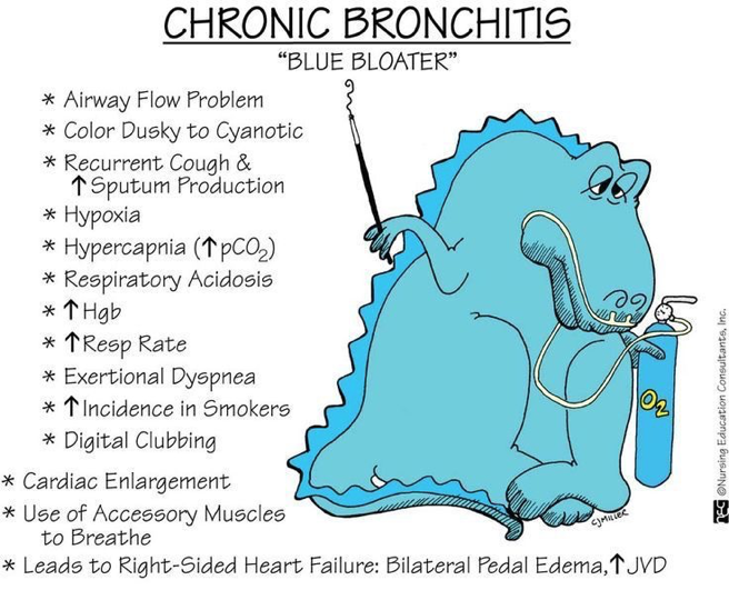 <p>Physical examChronic Bronchitis</p>