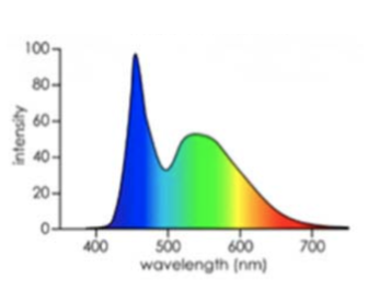 <p>(3.1) The image shows the spectrum of a lightbulb. What does the bulb look like?</p>