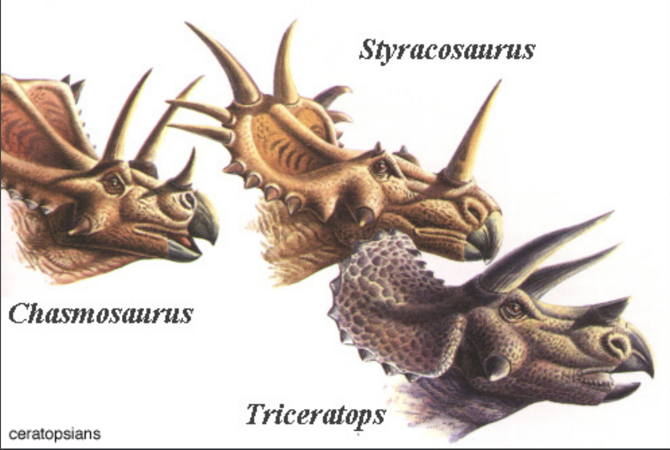 <p>Ornithischian dinosaur</p>